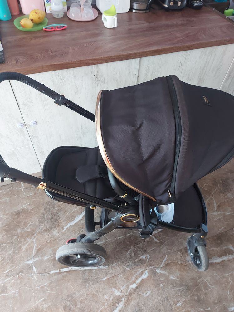 Mamas and papas ocarro