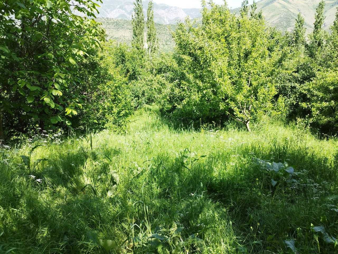 Земельный участок 22 сотки  в горах /Нанай/