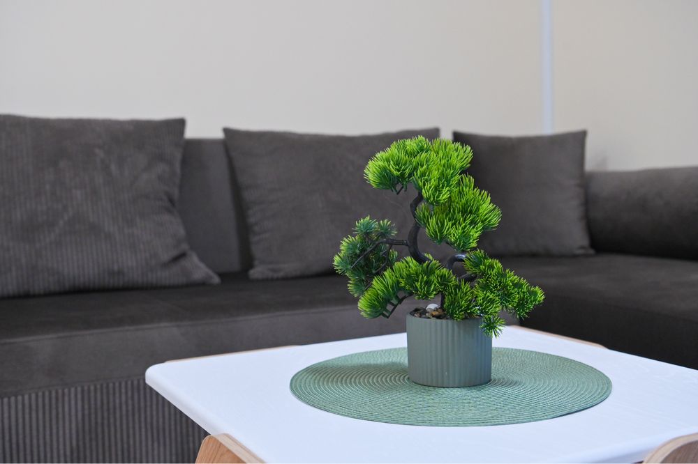 Прекрасно Студио под наем в Банско