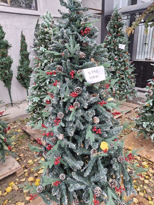 Янги  йил арчаси