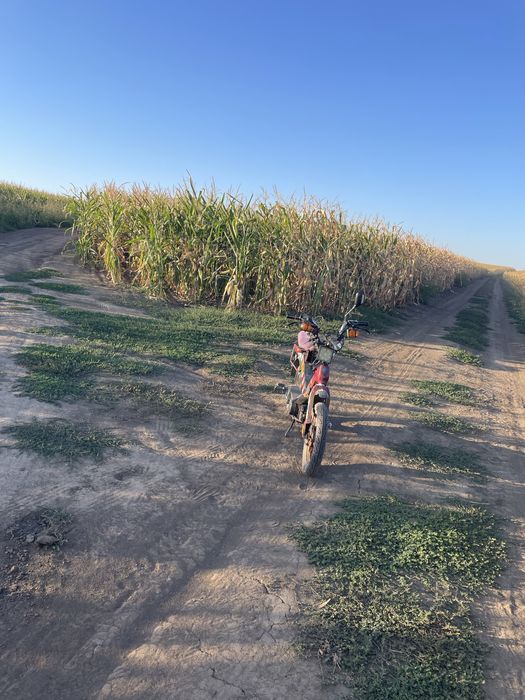 Se da pa scimb pe un slt scuter