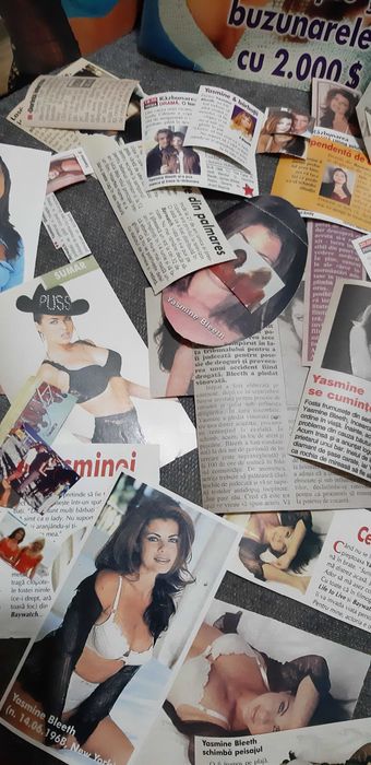 Colectie de articole cu Yasmine Bleeth