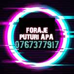 Denisipări adânciri curățări fântâni și puturi