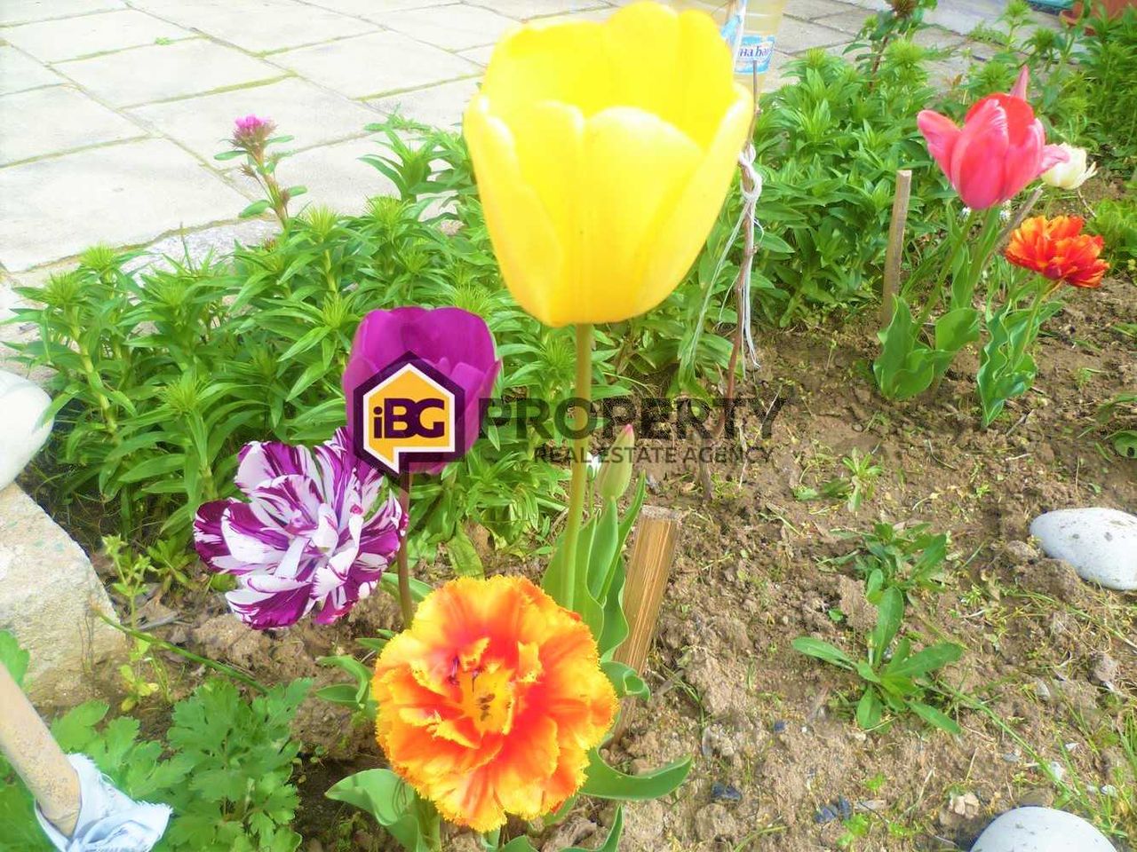 Продава се Къща в с. Господиново, Област Варна - 150 кв.м за 854 €/кв.м - Снимка #20