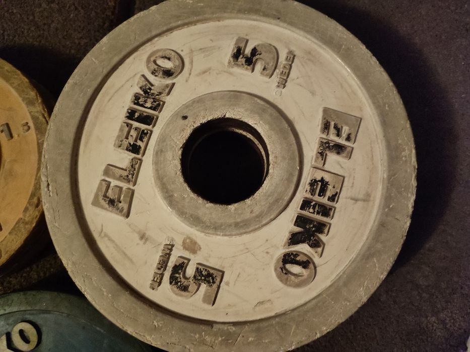 Лост състезателен Полски Елейко Дискове