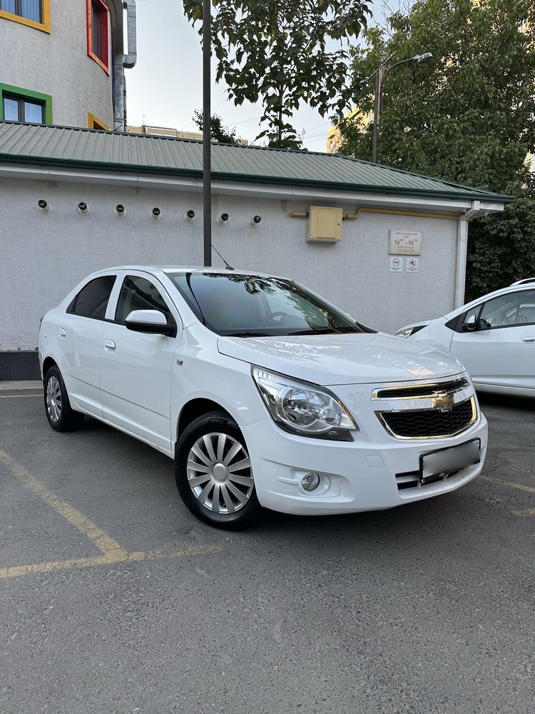 Cobalt Arendaga beriladi!