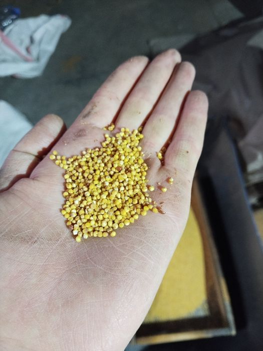 Тары талхан 250 тг