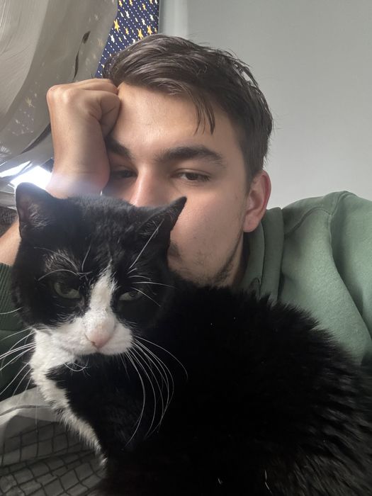 Plimb/cazez câini/pisici