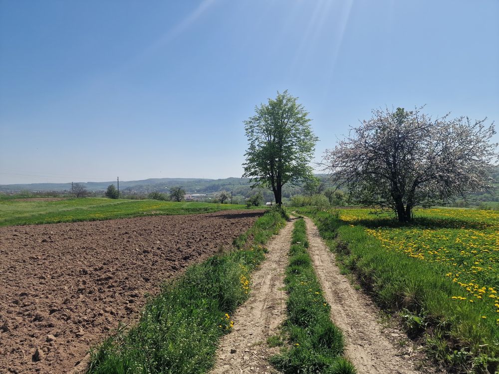 Vând/Schimb teren extravilan Cacica