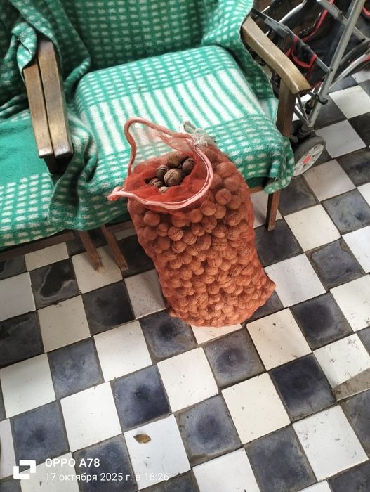 Продам грецкий орех