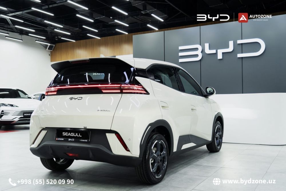 BYD Seagull 405km