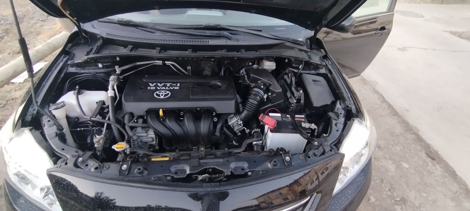 Toyota corolla сотлади
