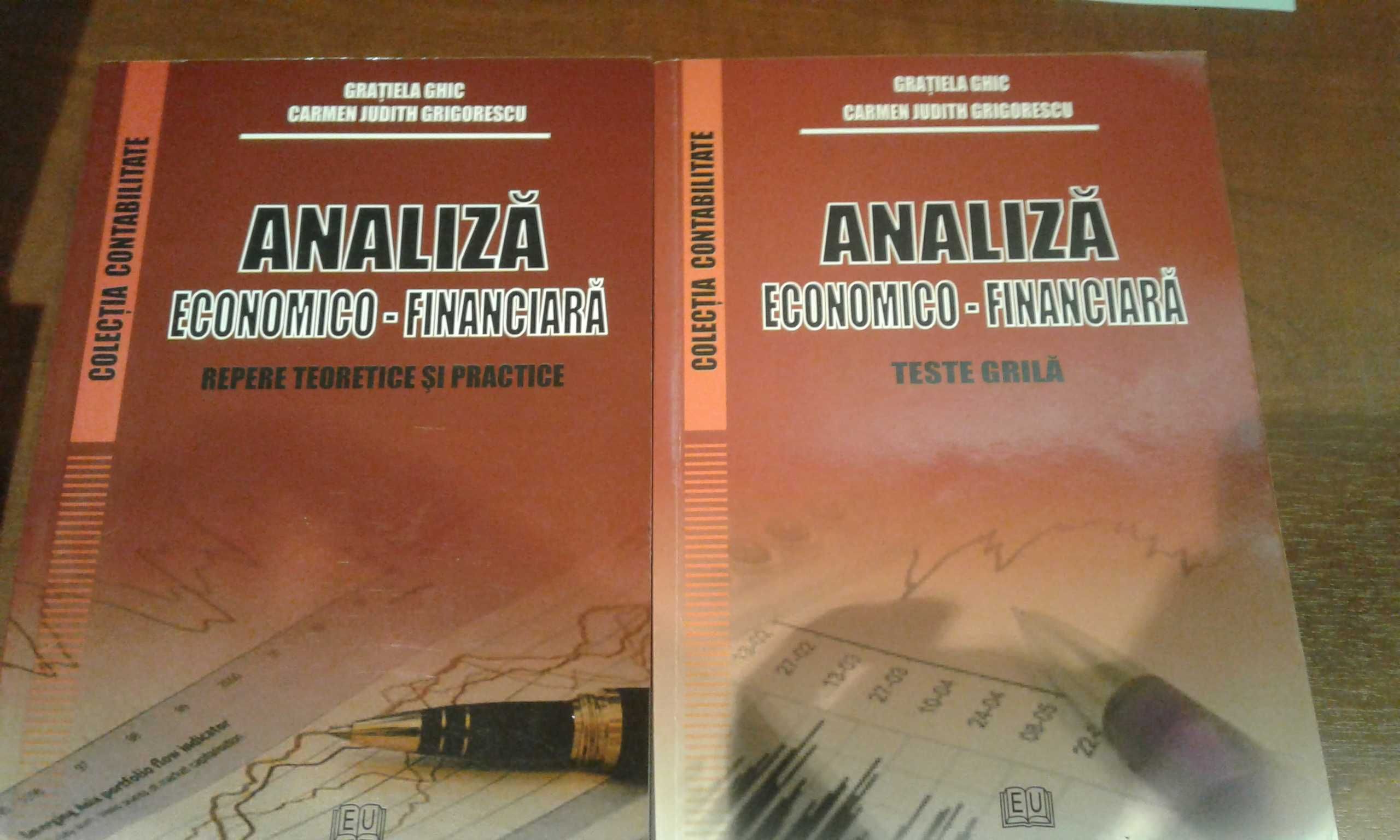 Analiza economico-financiara 1+1