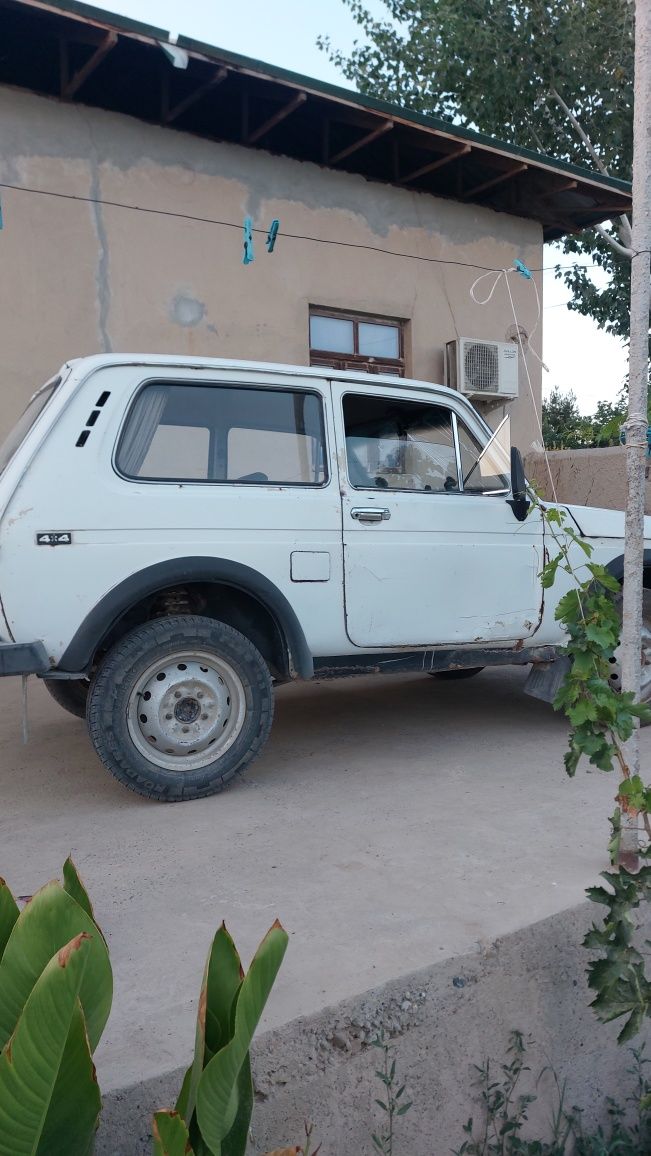 Niva sotiladi. Aybi yo'q.