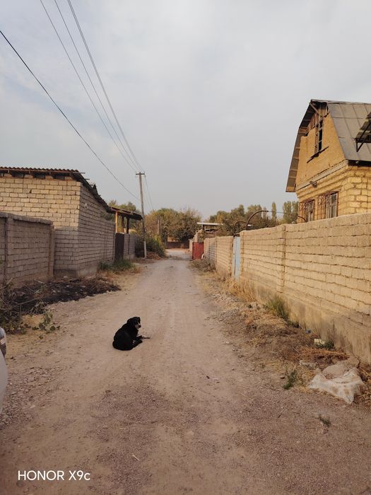 Dacha sotiladi 12 so'th piskent Akmal Ikromovda 15 000 $