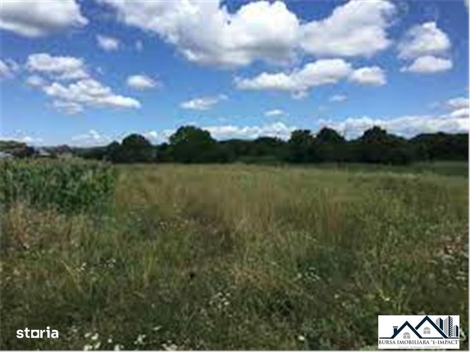 De Vz. teren INTRAVILAN, investitie 4080mp,BADEANA, BARLAD ID 387