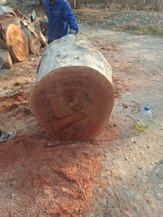 Гушт тунка орка тарафи ишлатилади