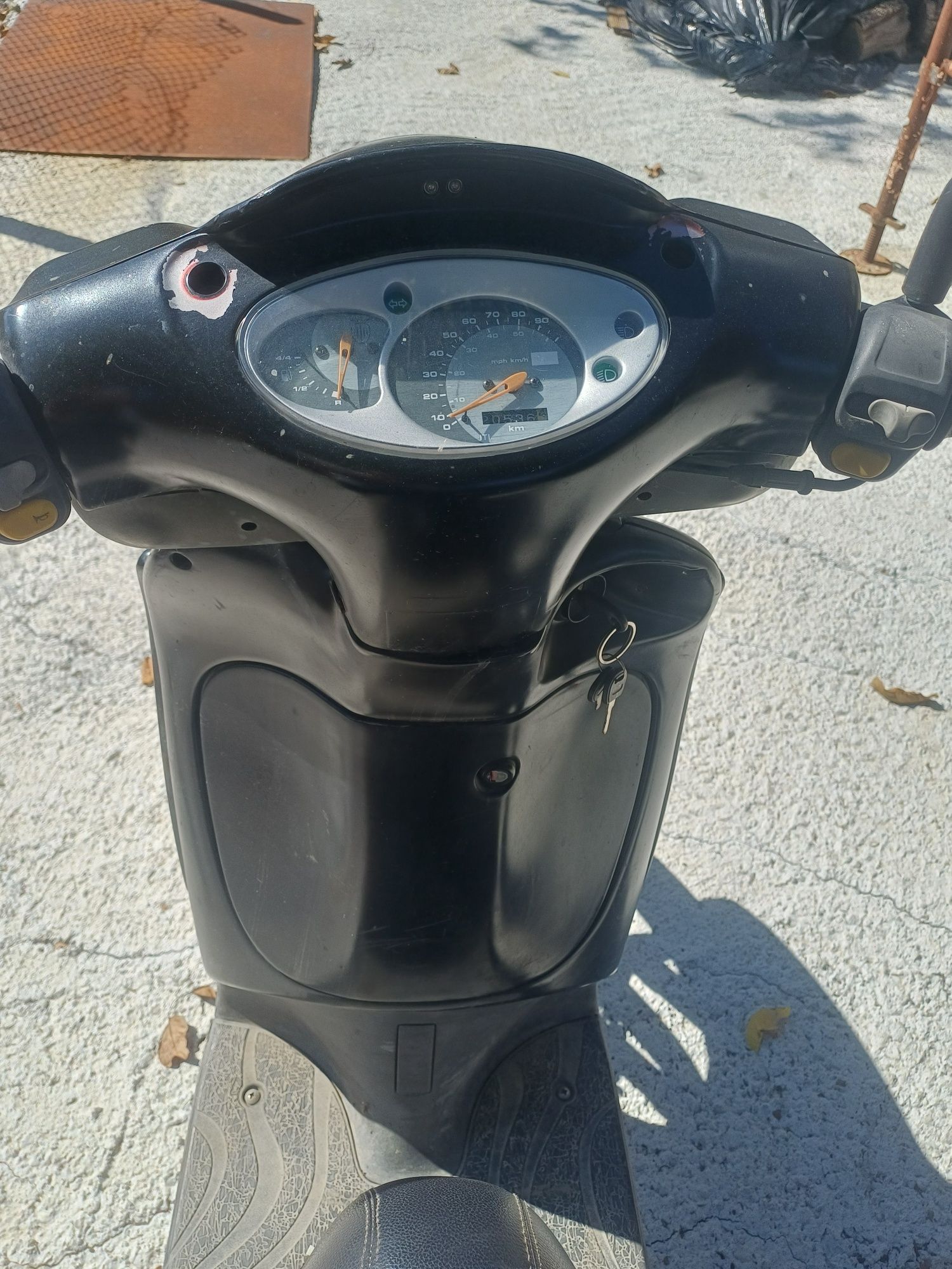 Продавам Арпилия скарабео