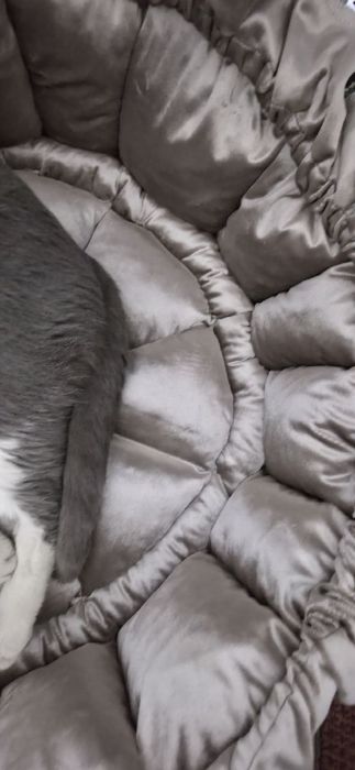 Лежанка для котов . Большое размер