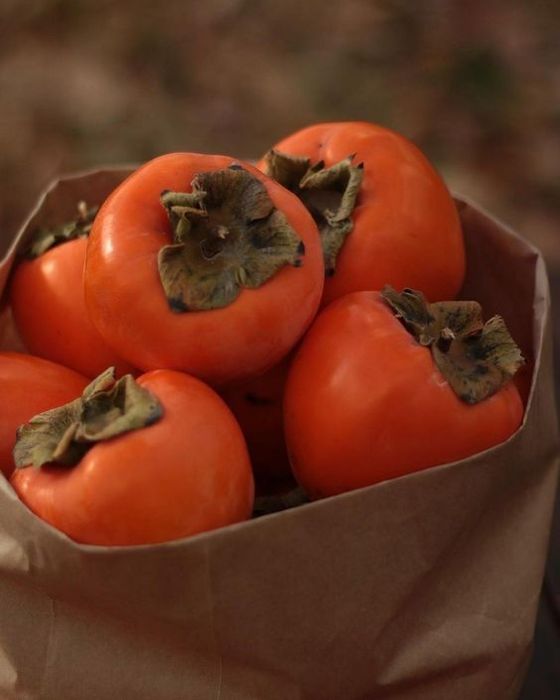 Хурмо хурма свежая шоколад