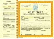Cursuri online de calificare profesionala