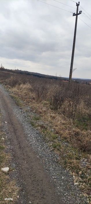 Teren intravilan parcelabil Viile Satu Mare