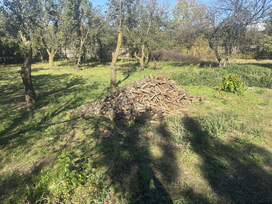 Lemne de foc esenta prun