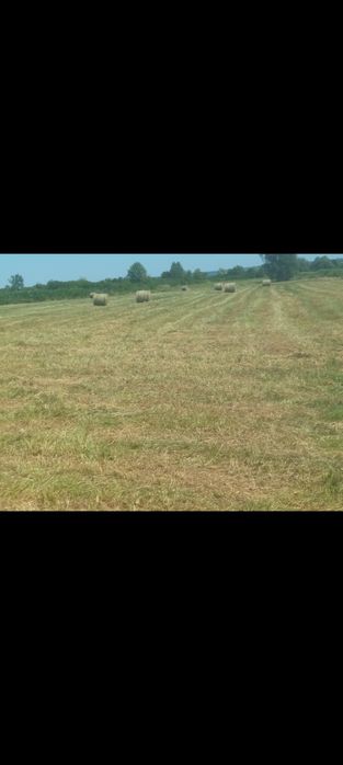 Vând baloti rotunzi