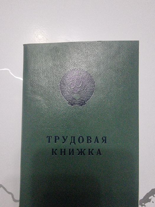 трудовой книжка оригинал