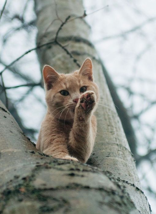 Nikon AF 35-70mm f/2.8D Nikkor обектив Никон #1/4