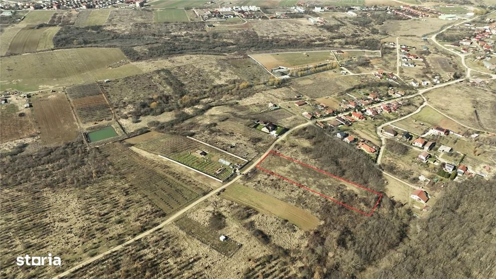 RECO Teren intravilan Paleu