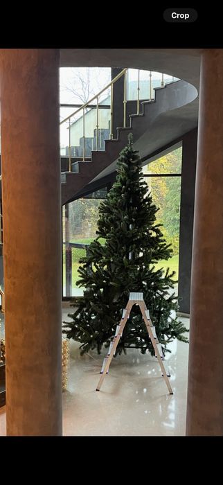 Коледна елха - 3 метра висока