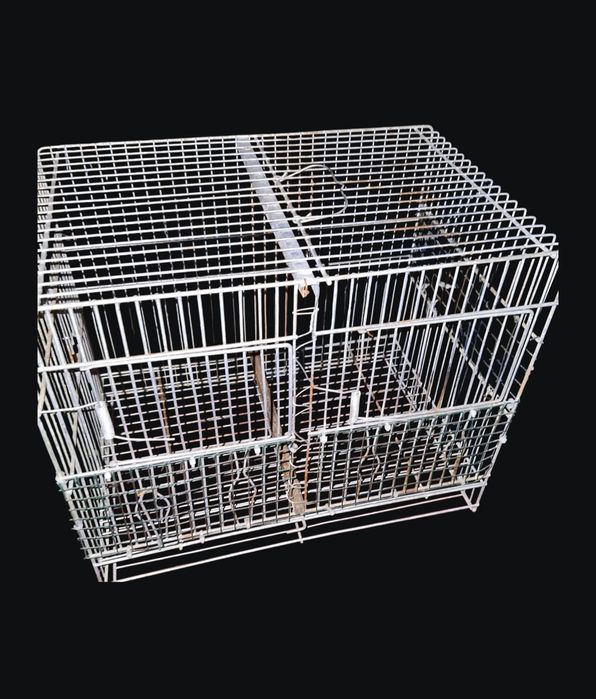 Colivie 501 pentru canari , zebre  sau alte pasari de colivie