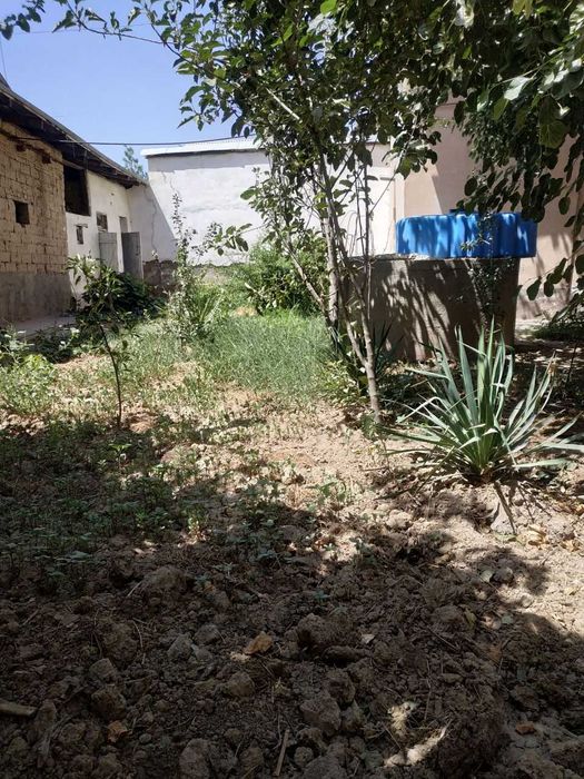 Квартира на аренду