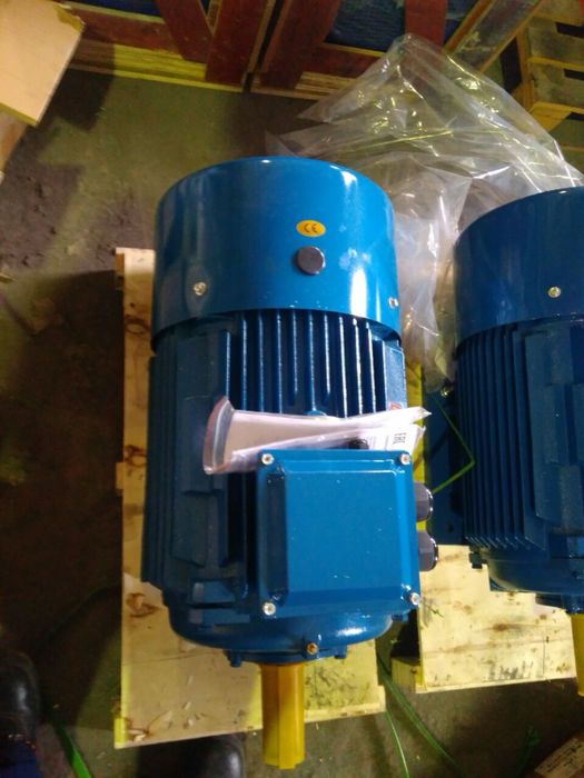 Электродвигатель 22 кВт 1500