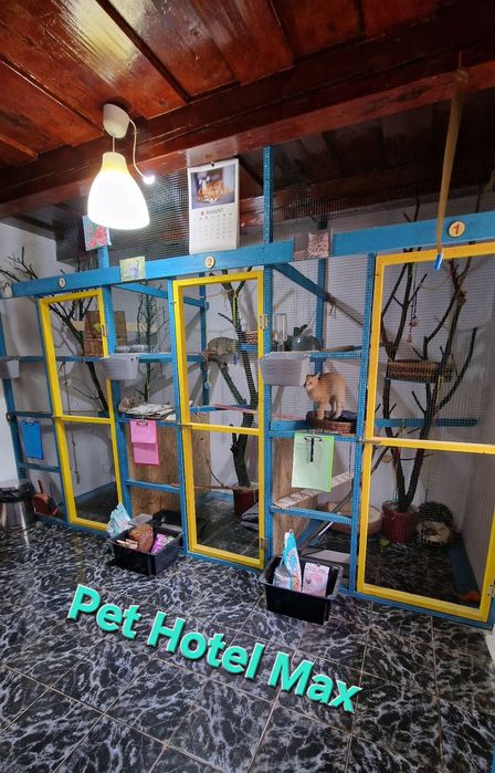 Cazare Pensiune canină /animale de campanie