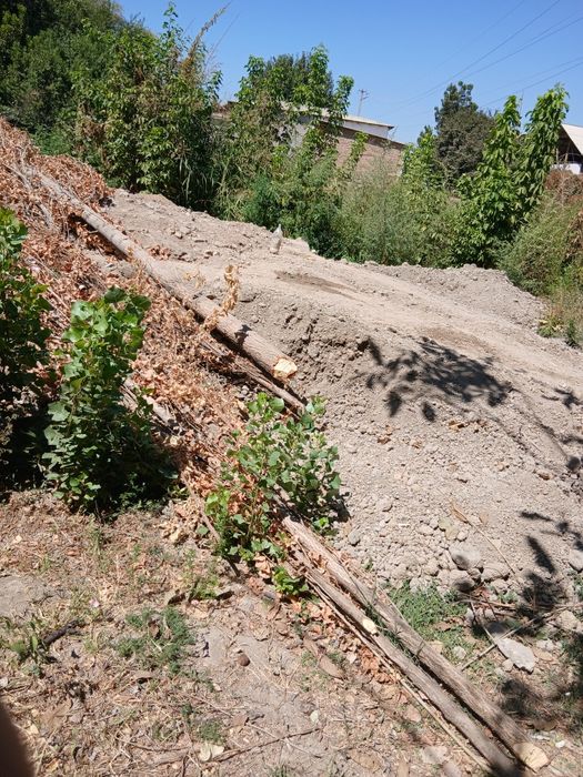 Терекла бор сотилади. Келиштириб берворамиза срочно.  Манзил Янгийул