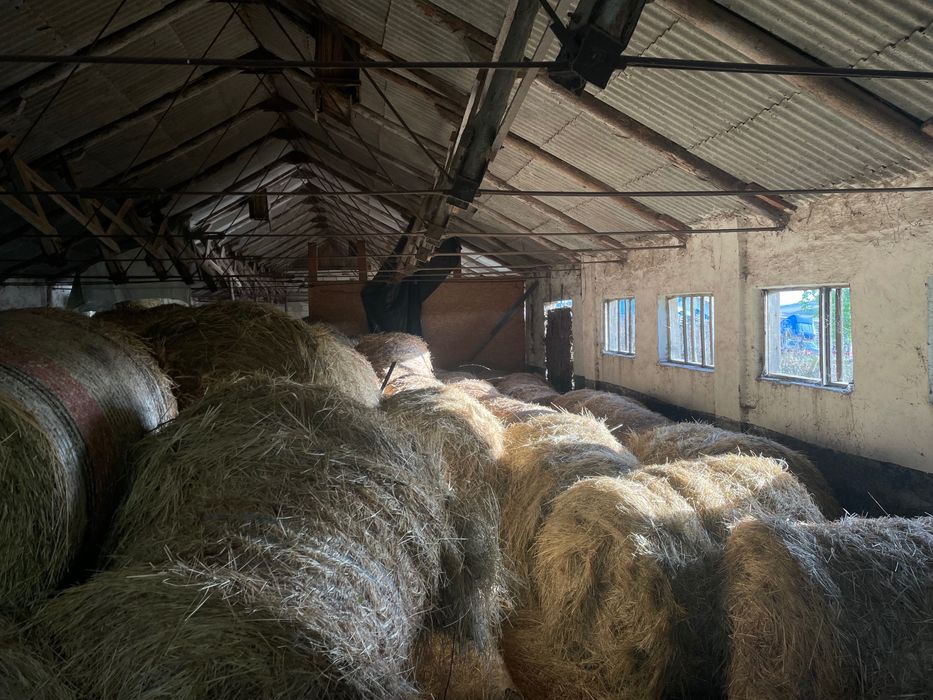 Vand Baloti Lucerna si Fan