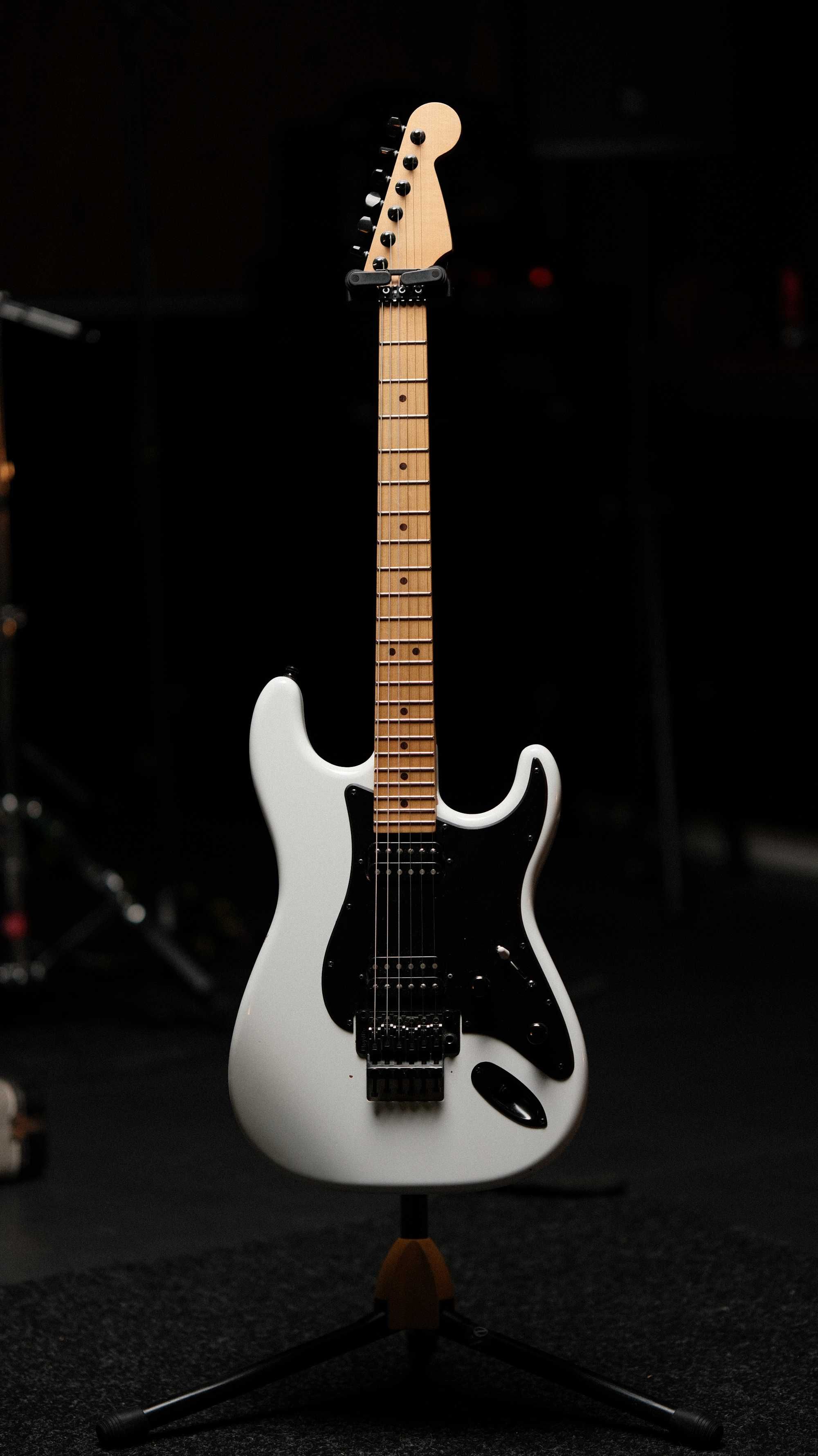 Warmoth Stratocaster