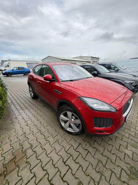 Jaguar e peace 2019