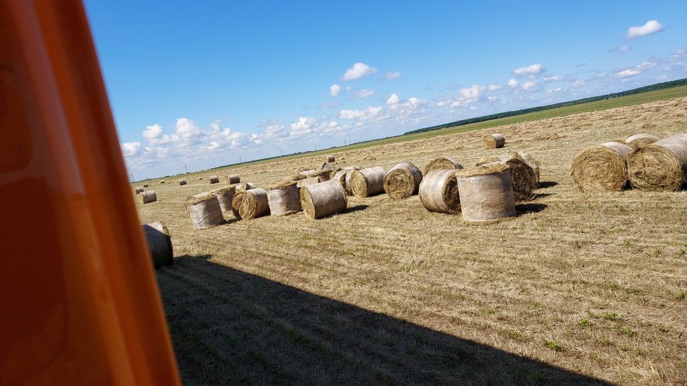 Baloți de lucernă, fân rotund,dreptunghiular!