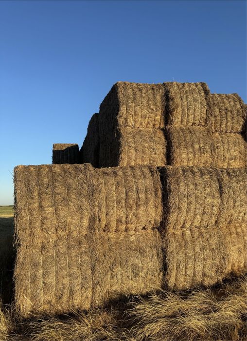 Baloti fan amestecat cu lucerna 500-600kg