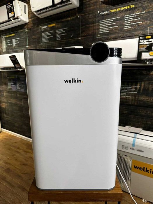 Welkin Hududlarda hamkorlar qidirilmoqda.