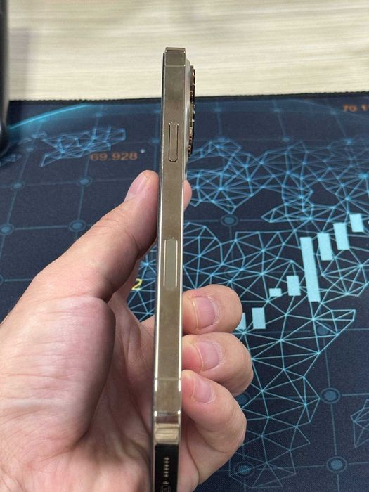 iPhone 13 Pro Max (Gold, 256GB)