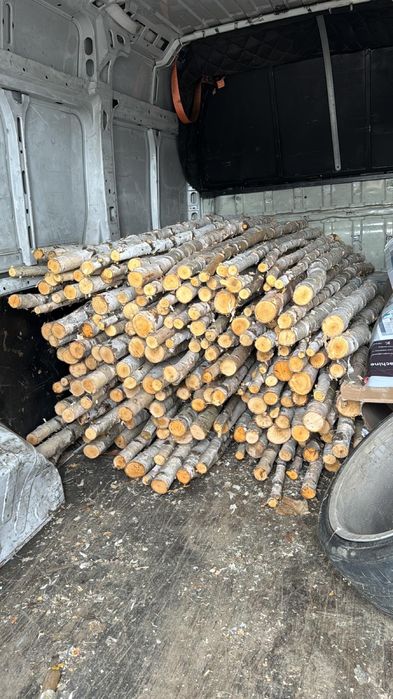 Lemn de mesteacan mesteacan decorativ trunchi mesteacan crengi rondele