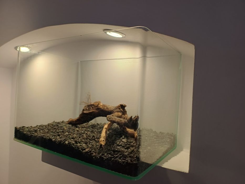Acvariu aproape nou cu substrat si lemn natural decor