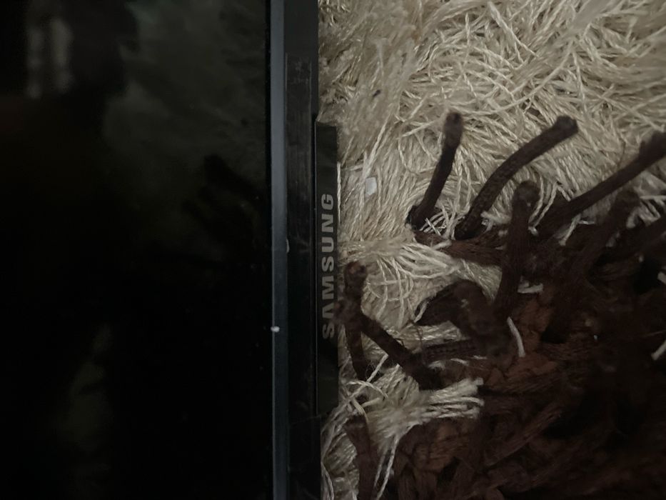 Televizor Samsung smart