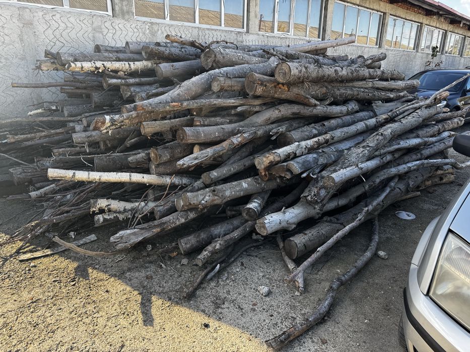 Lemn diverse esente 11 metri cubi -Botosani-usor negociabil