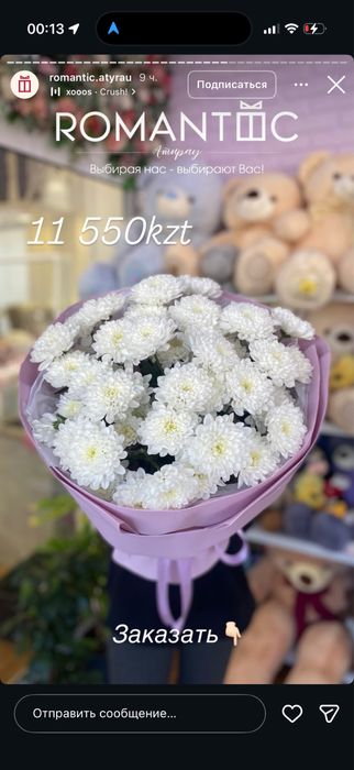 Хризантема.