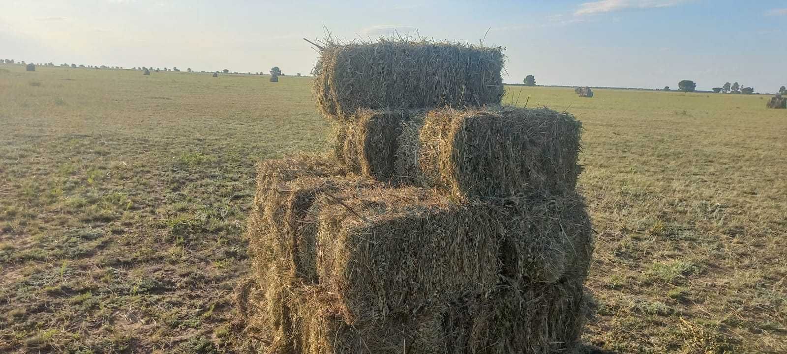 Сено тюковое разнотравие